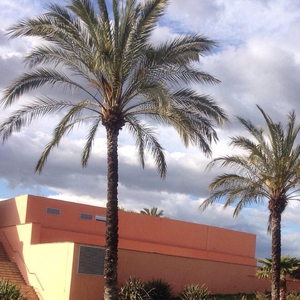 永久免费在线观看av电影
