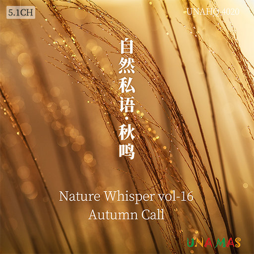 永久免费在线观看av电影
